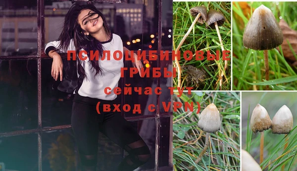 mix Абаза