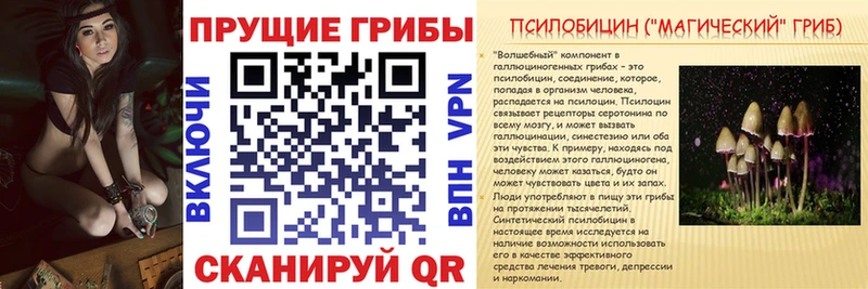 Псилоцибиновые грибы мицелий где продают наркотики Азнакаево